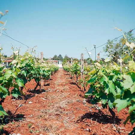 خيمة فخمة Tundo 1 *